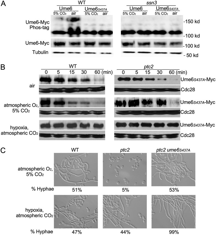 FIG 4