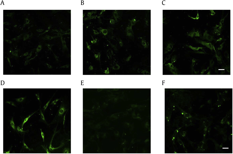 Fig. 3