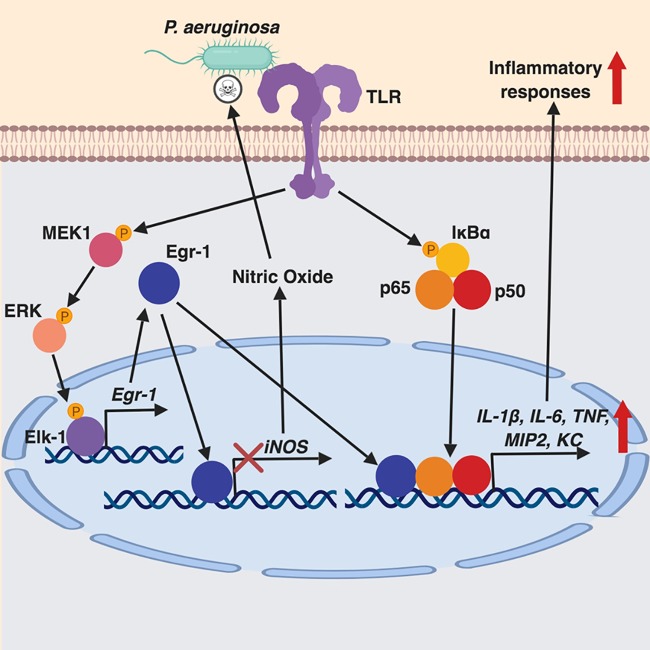 FIG 13