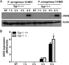 FIG 11