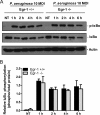 FIG 8