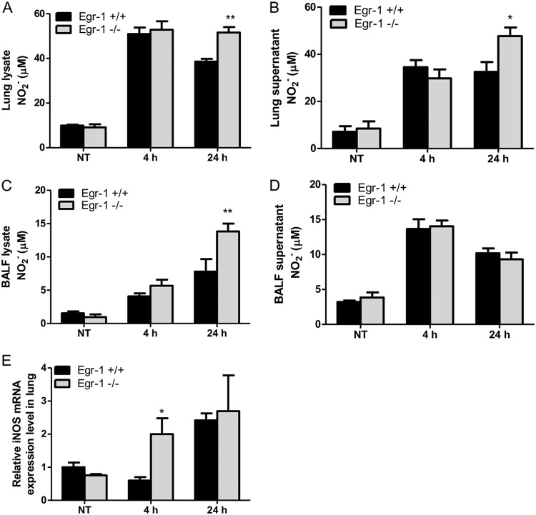 FIG 10