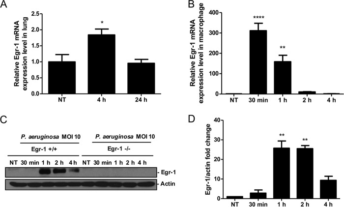 FIG 1