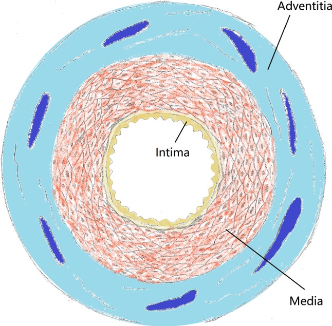 Fig. 3