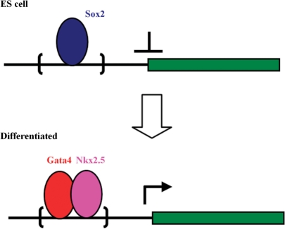 Figure 5.