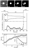FIG. 7.