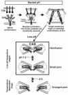 FIG. 8.