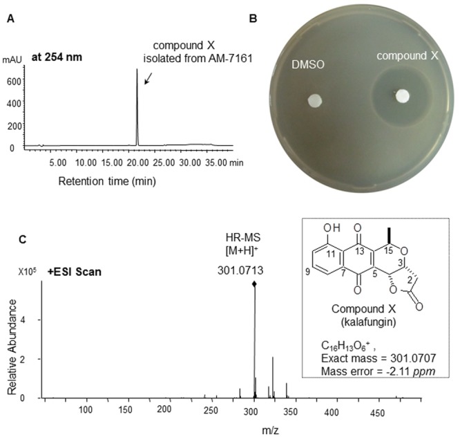 Fig 4