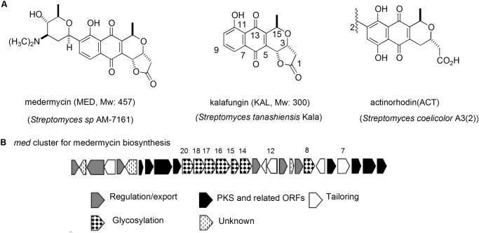 Fig 1