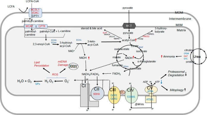 Fig. 9.