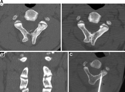 Fig. 5