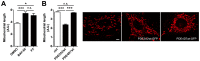 Figure 1—figure supplement 1.