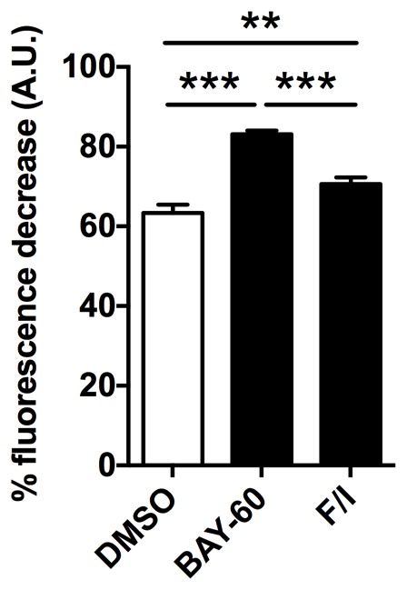 Figure 5—figure supplement 1.