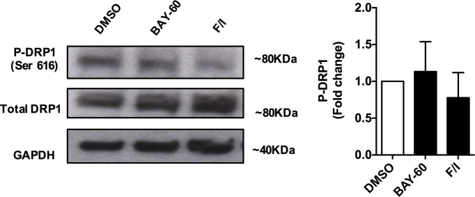 Figure 1—figure supplement 2.