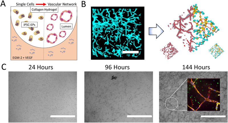 Figure 2: