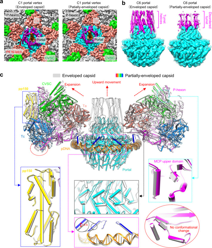 Fig. 8