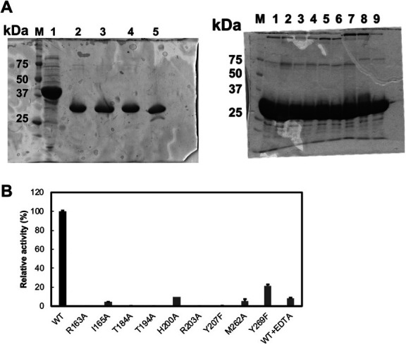 Fig. 5.