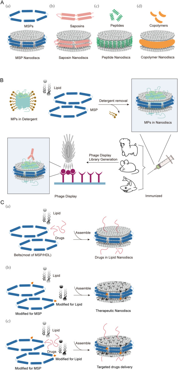 FIGURE 1