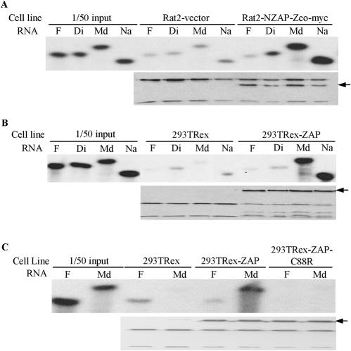 FIG. 5.