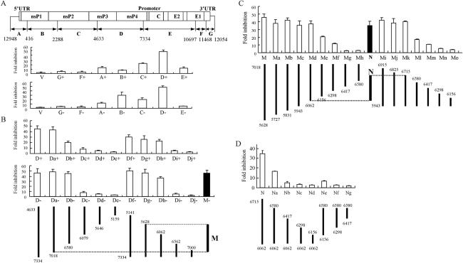 FIG. 2.