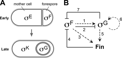 FIG. 1.