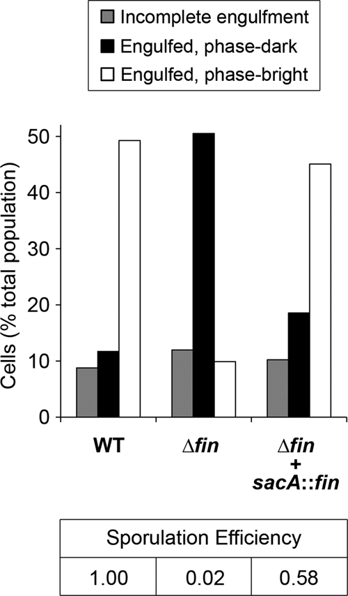 FIG. 5.