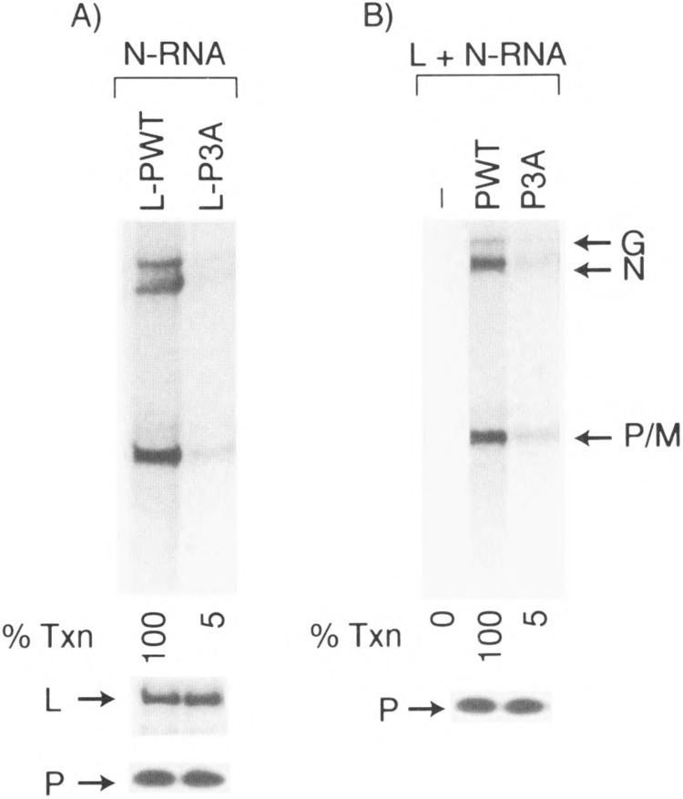 FIG. 6