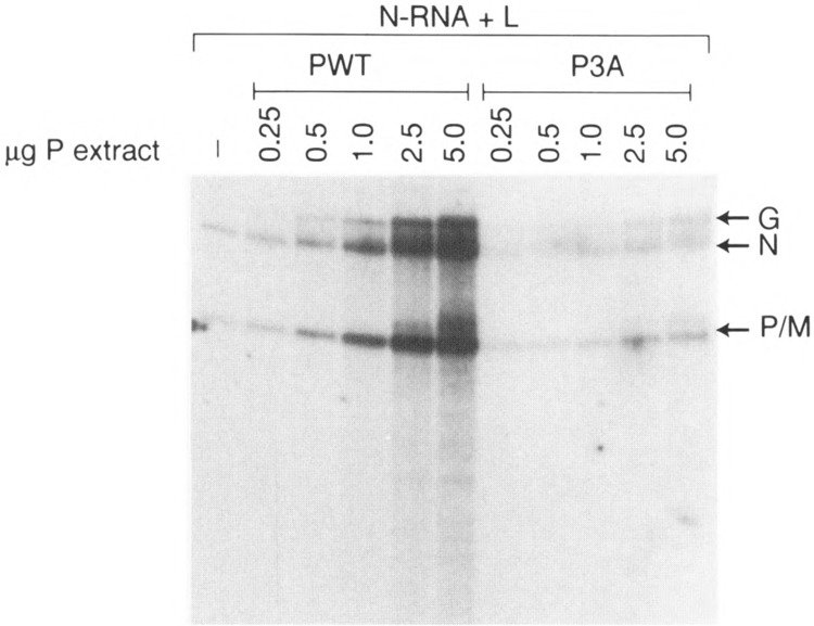 FIG. 7