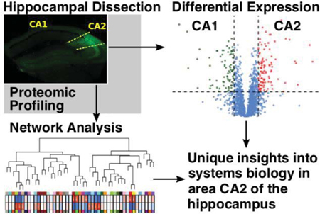 graphic file with name nihms-1555870-f0007.jpg