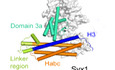 graphic file with name EMBJ-39-e103631-g016.jpg
