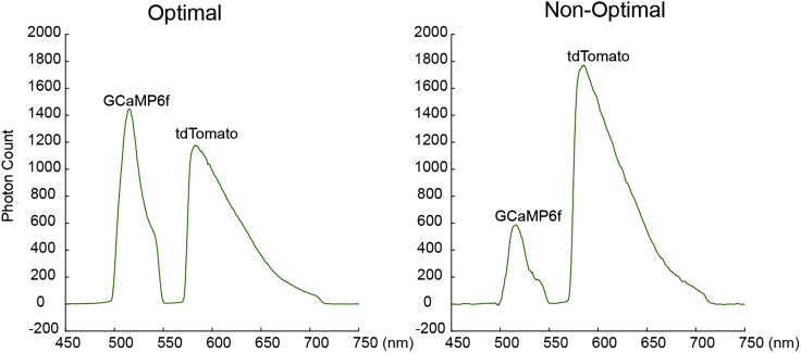 Figure 2