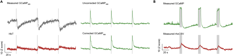 Figure 7