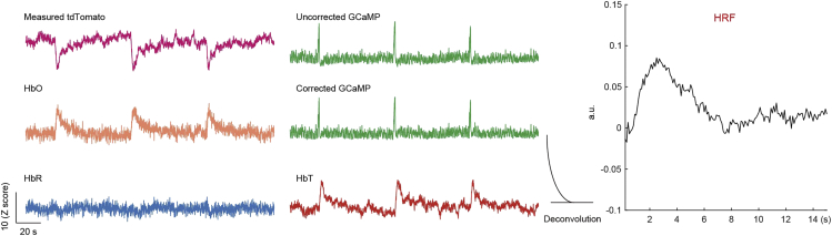 Figure 6