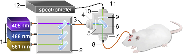 Figure 1