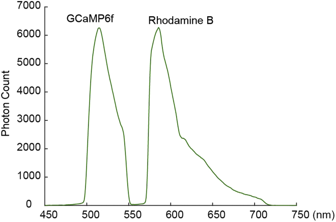 Figure 5