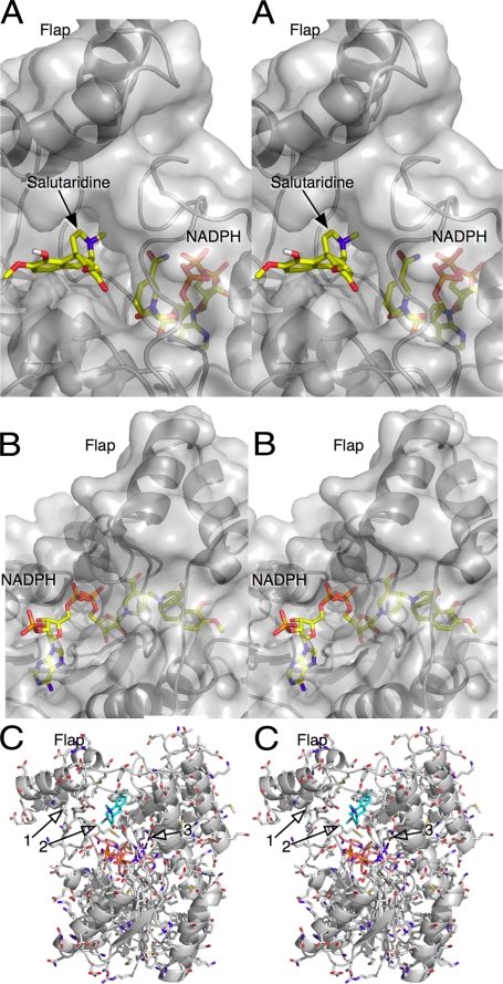 FIGURE 5.