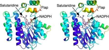 FIGURE 4.