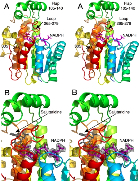 FIGURE 1.