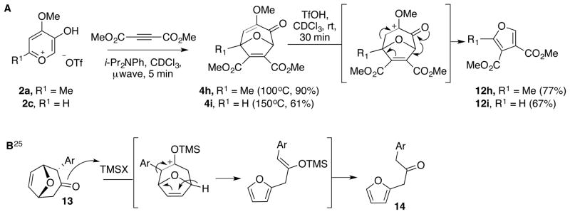 Scheme 8