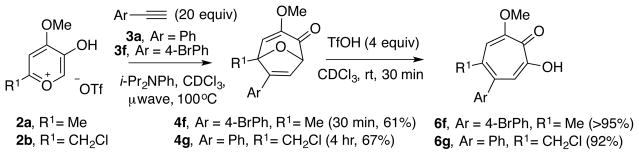 Scheme 5