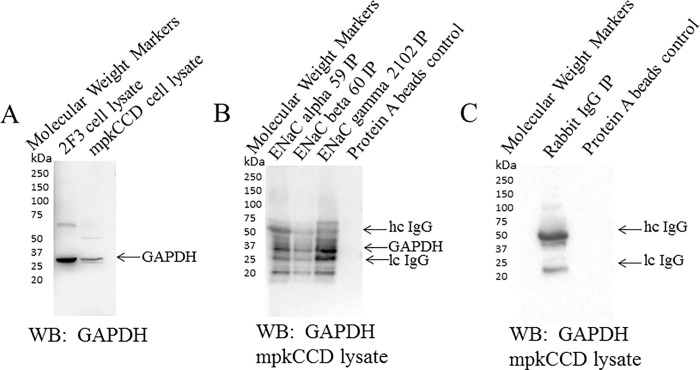 Fig 12