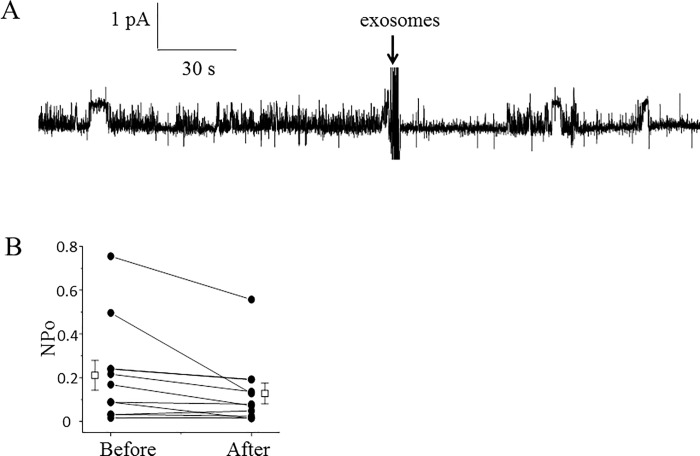 Fig 9