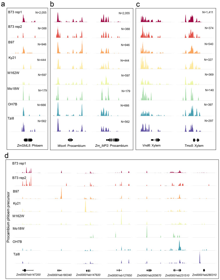 Extended Data Figure 6.