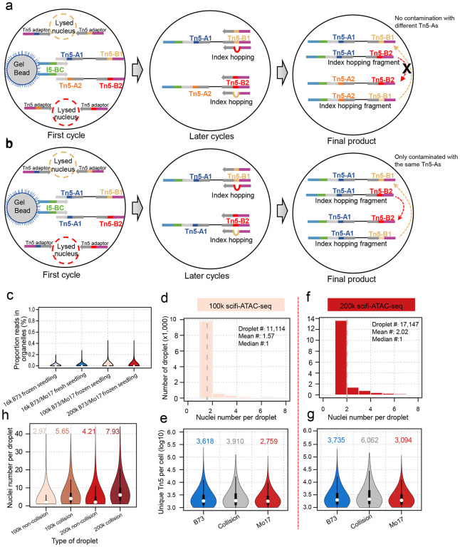 Extended Data Figure 1.