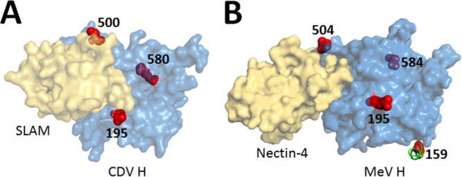 FIG 3