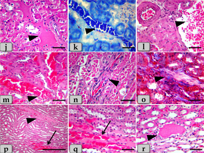 Fig. 9