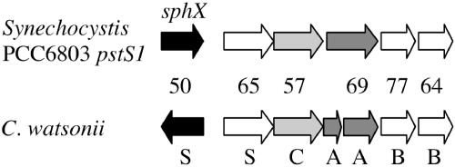 FIG. 1.