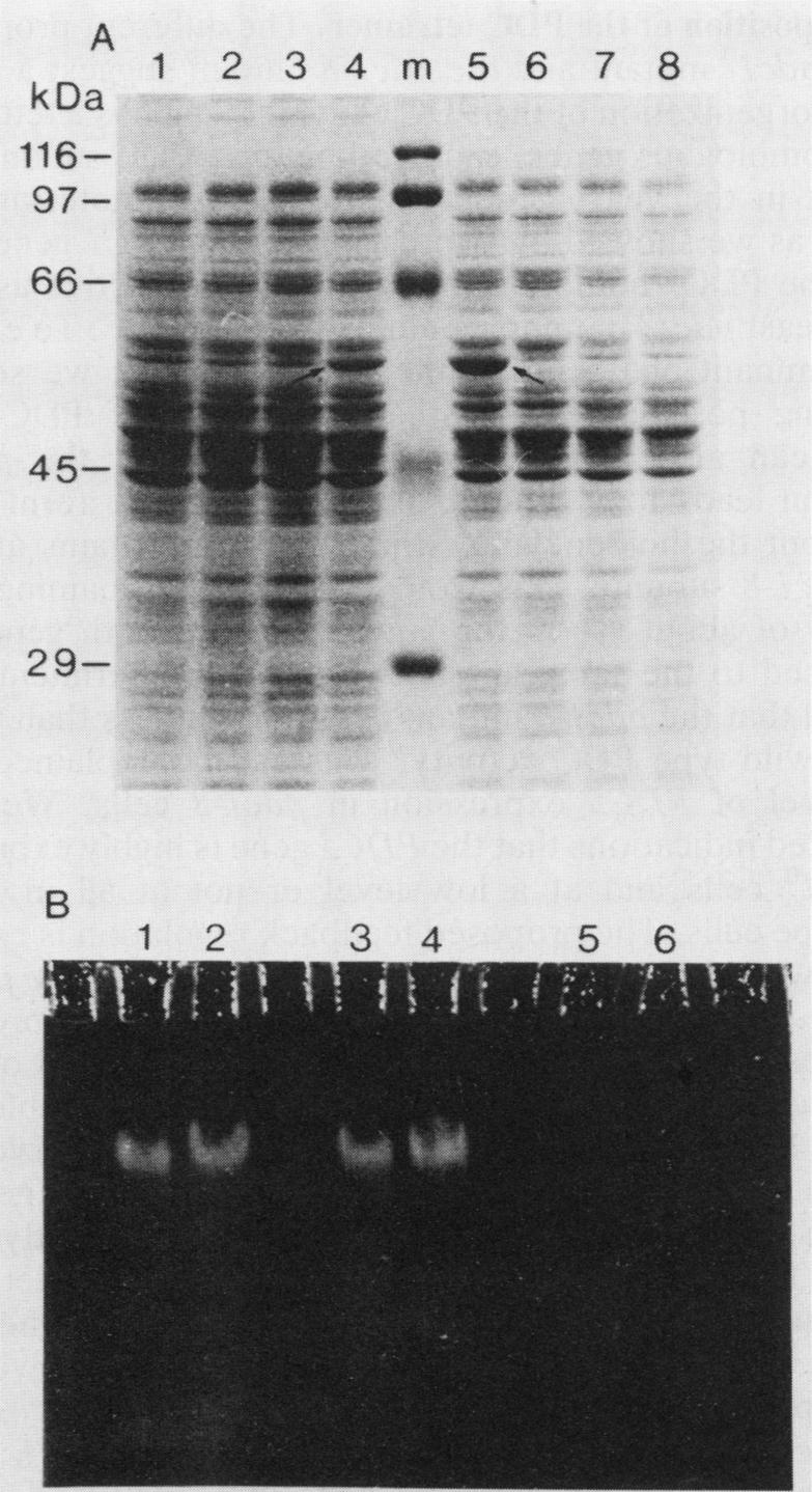 FIG. 6