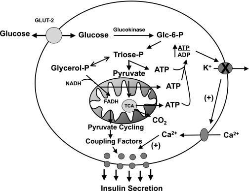 Fig. 1.