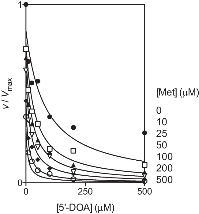 FIGURE 5.